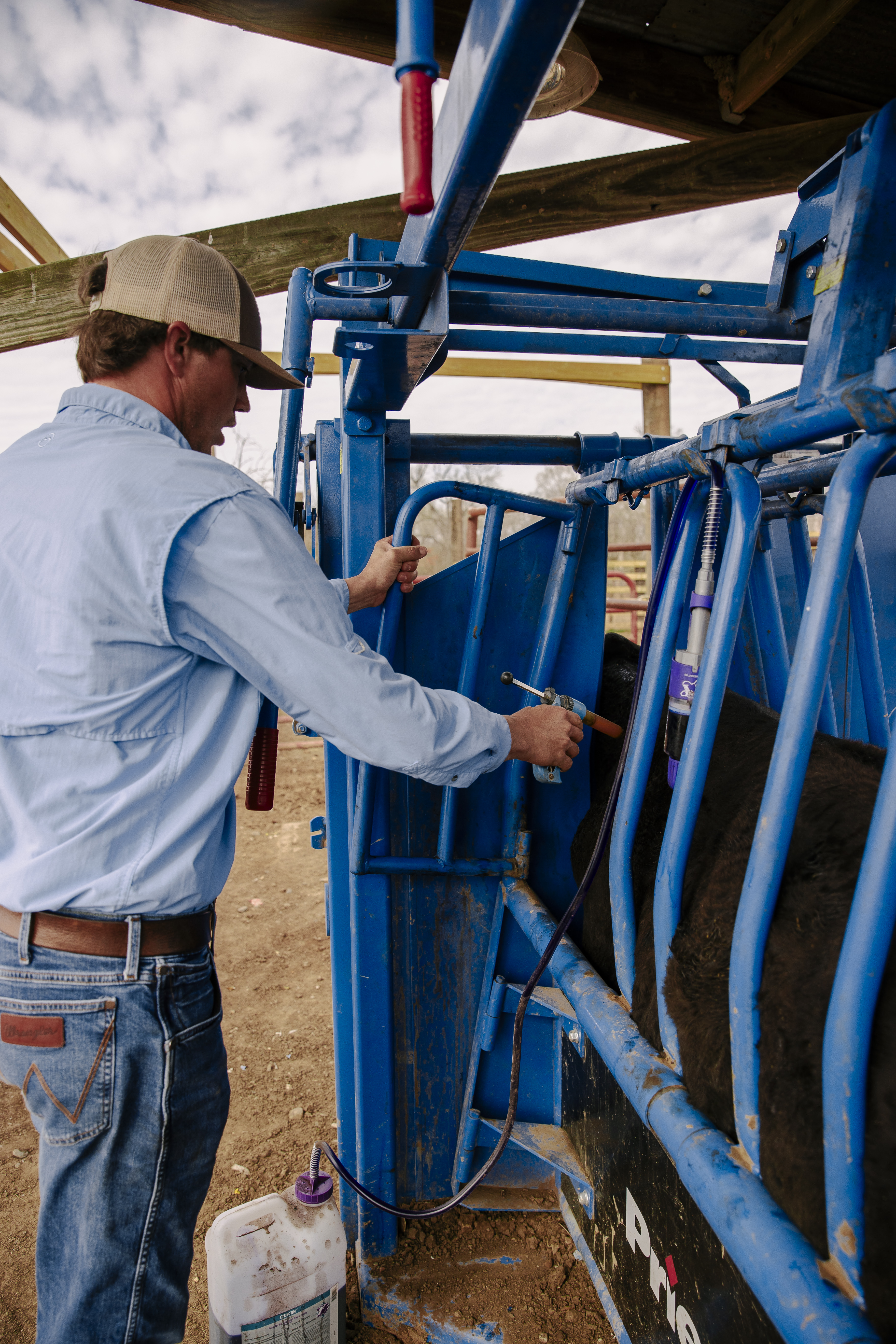 SqueezeChute SC25 0326 Boyce 9268.jpg